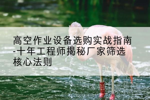 蕉城剪叉式升降机厂家-高空作业设备选购实战指南-十年工程师揭秘厂家筛选核心法则