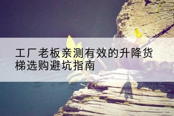蕉城升降货梯怎么选-工厂老板亲测有效的升降货梯选购避坑指南