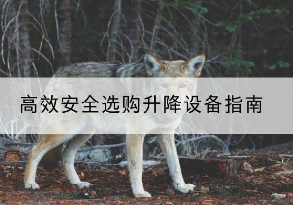 蕉城升降货梯厂家推荐-*安全选购升降设备指南