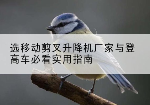 蕉城电动升降机厂家-选移动剪叉升降机厂家与登高车必看实用指南