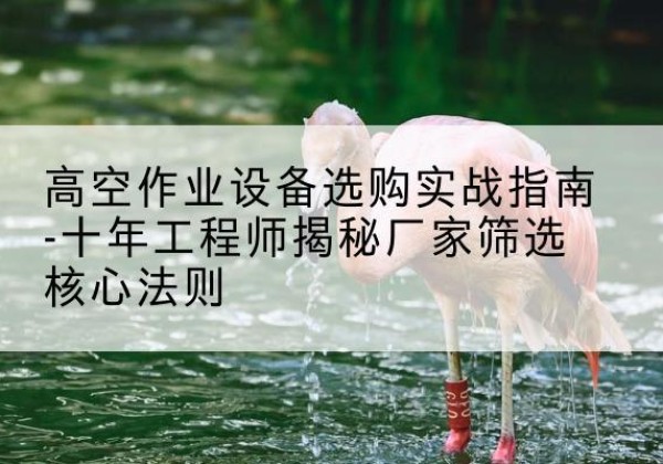 蕉城剪叉式升降机厂家-高空作业设备选购实战指南-十年工程师揭秘厂家筛选核心法则