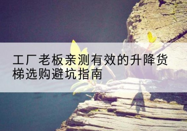 蕉城升降货梯怎么选-工厂老板亲测有效的升降货梯选购避坑指南